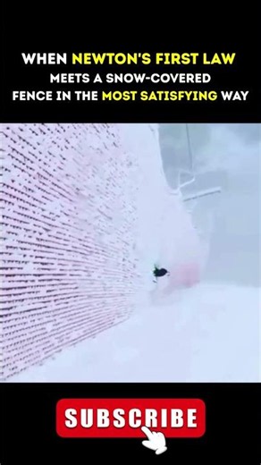 WHEN NEWTON'S FIRST LAW MEETS A SNOW-COVERED FENCE IN THE MOST SATISFYING WAY #physicsshorts #vcan