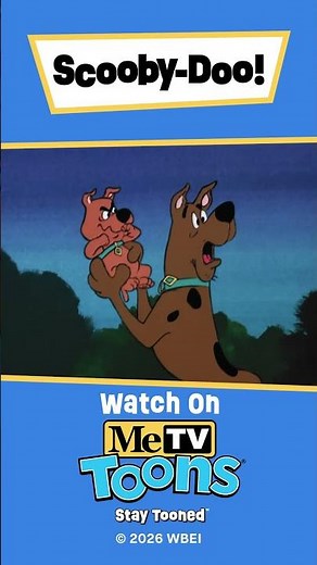 Guess who's back on MeTV Toons - that's right, our boy Scrappy has returned!