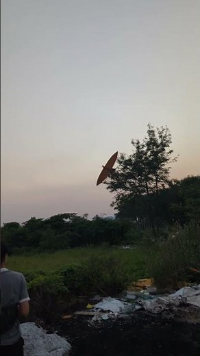 Want to fly a kite but there's no wind | #4dmodel #diy