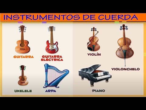 Los instrumentos de Cuerda