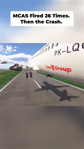 Plane's Computer Goes CRAZY! Pilots FIGHT FOR CONTROL!