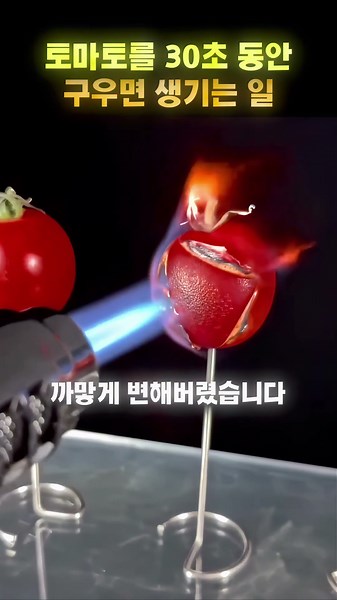 I heated a tomato for 30 seconds 😂🍅