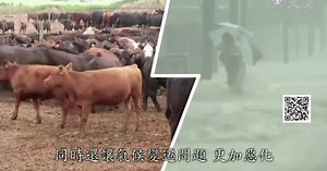 讓資源有效分配與使用 尊嚴溫飽的守護者