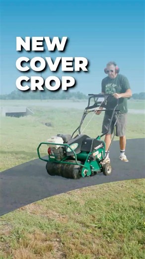 Sunn Hemp Cover Crop for Texas Heat