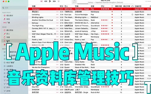 Apple Music 音乐资料库管理技巧