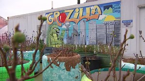Restorative Farms cultivating crops, entrepreneurs in South Dallas