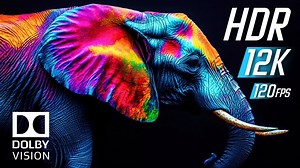 精选 12K 视频 超高清 120fps | 杜比视界 HDR