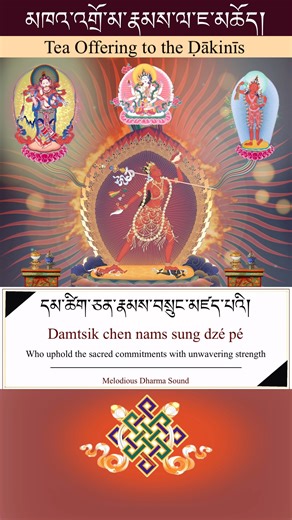Melodious Dharma Sound | The Dakini is the "Messenger of Bliss." She is the energy that cuts through the web of conceptual thought to reveal the naked truth of the... | Instagram