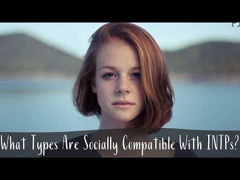 What Types Are Socially Compatible With INTPs (The Ardent)? | INTP Relationships | CS Joseph