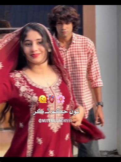 Discover the Charm of Sindhi Music Hits