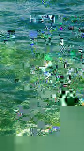 Meet the most compact hard cooler in our lineup, the Roadie® 15. | YETI