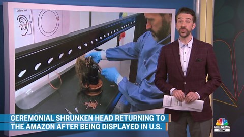 Ceremonial shrunken head returning to the Amazon after being displayed in U.S.