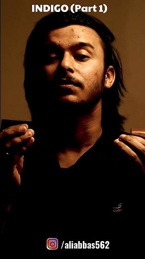 INDIGO - SUMMARY in 1 Minutes | Louis Fischer | Ali Abbas.