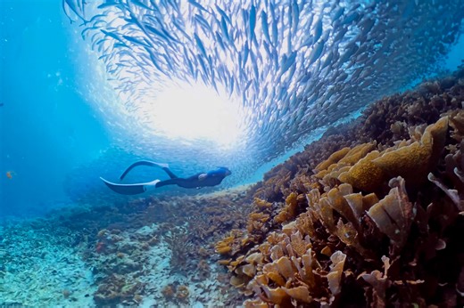 Redefining talent through human-AI integration