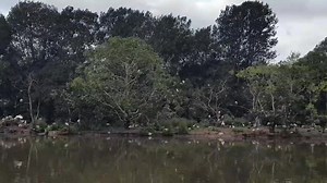 Toowoomba - 4350tv on Reels