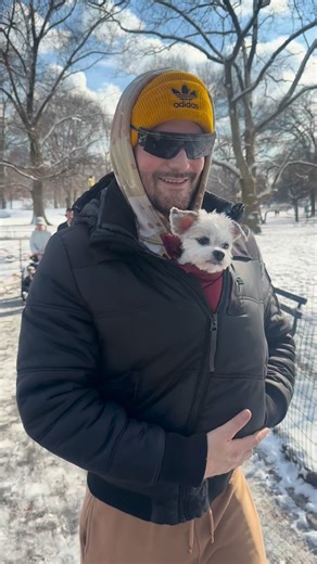 ❌KIKI ❌ on Instagram: "❄️ ⛄️ . . . #KikiTheHavallon #Havallon #Havanesemix #Dogsofnyc #dogsofinstagram"