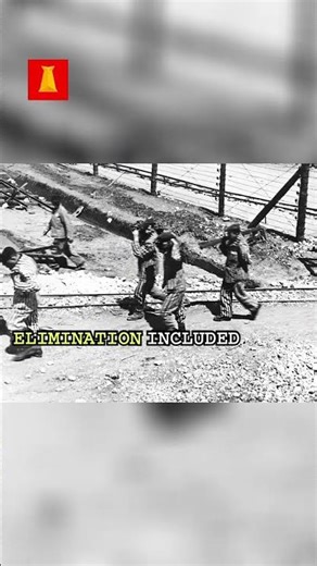 Erasing History: The Devastating Campaign of Destruction #shorts