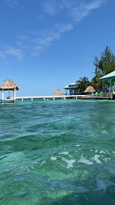 🌴 Palm trees swaying, skies so blue they don't need a filter, and water that looks like it came straight out of a dream 💦🌞 Welcome to Belize—where every day feels like a screensaver and the only rule is relax. #TravelBelize #Belize 📹: @saderow__ | Travel Belize