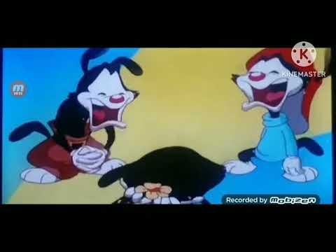 Animaniacs crying csupo