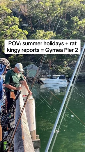 Sydney fishing is COOKED 💀 can’t wait til school holidays are over 🫠👽💩 #sydneyfishing #fishing #fishtok #fishingaustralia