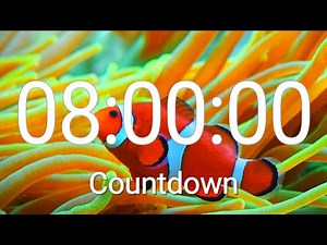 8 Hours Timer with Alarm