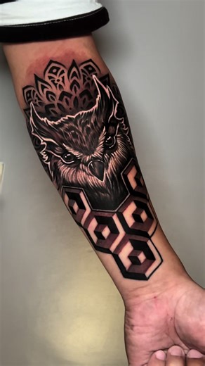 Owl ❌ geometric @EMALLA OFFICIAL @Mr. Marcus Organic #loydtattoo #fyp #foryoupage #fypシ #foryou #tattooartist #tattoo #emallacartridges #emallaeliot #emalla #emallaeliotcartridges #emallacartridges #emallaeliot #emalla #emallaeliotcartridges #AllegoryInk #mrmarcusoraganic #GECKOprostencilsirumphilippines #GECKOprostencils #GECKOsbloodbalmtattooglide #QuezonCitytattooartist #tattooph #tattoophilippines #tattoooftheday #tattoo #loydlampayatattoo #tattooartist #loydtattoo