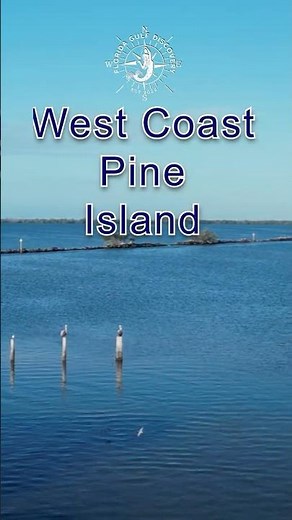 Around West Coast Pine Island Florida and Safe Harbor Pineland