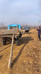 82K views · 29 reactions | Trunk convenient loading skills- Good tools and machinery make work easy. | Discover World | Facebook