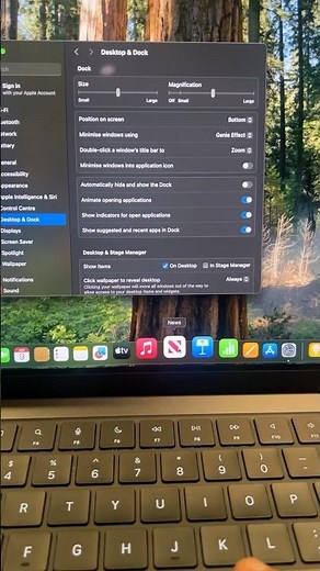 How to Make Apps Bigger on MacBook #macbooktips #m4pro #mactips