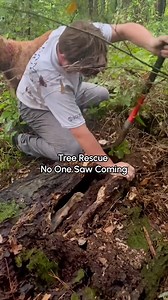 1M views · 10K reactions | A couple was able to rescue this dog from a dead tree in Flordia after hearing it's cries on a walk!  We're so glad they followed the noise! #Dog #DogRescue | The Pet Collective | Facebook