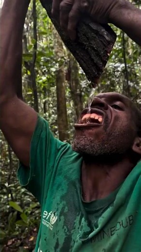 Water Trees of the African Forests