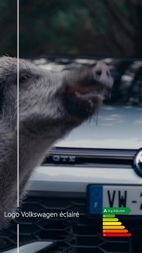 2.5M views · 650 reactions | Force à Jean-Michel qui veut juste faire une review de la Nouvelle Golf tranquille… | Volkswagen | Facebook