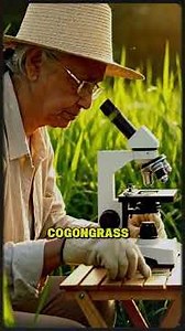 HOA Dumped Waste on My Rare Plant Garden — I Turned Their Golf Course Into a Weed Jungle #karendrama