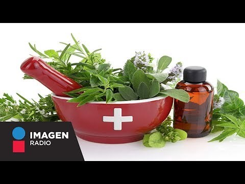 Cómo armar un botiquín natural de urgencias / Bien y Saludable