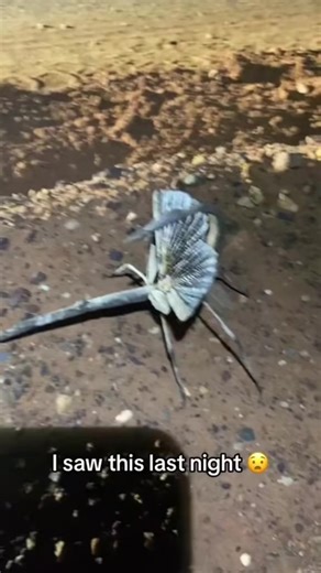 18K views · 442 reactions | #stitch with @Barstool Sports #science #abc #OOTD #grwm #facts #fyp #tacos #relatable #omg #southern #pdbtaco #trendin | Taco reacts Page | Facebook