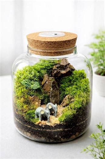 Handmade Glass Terrarium With Live Moss & Lighted Cork Lid - Etsy