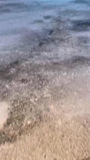 🎬 Some moments don’t just happen… they feel like a scene from a movie. Imagine your wedding, birthday, or corporate event surrounded by the glow of an actual DeLorean Time Machine — doors up, lights pulsing, cameras flashing — turning every photo, video, and memory into something straight out of Hollywood. This isn’t just a prop. It’s a vibe. A centerpiece. A story your guests will replay over and over. ✨ Weddings that feel legendary. 🎂 Birthdays that look like a film premiere. 🏢 Corporate ev