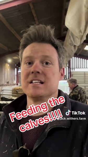 The greedy calves and the journey! ##farmlife #farmingtiktok #equestrianlife