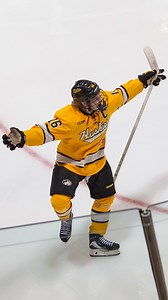 Huskies sweep, no one sleeps! #mtuhky #FollowTheHuskies | Michigan Tech Hockey