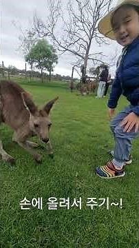 호주여행기-동물원편-