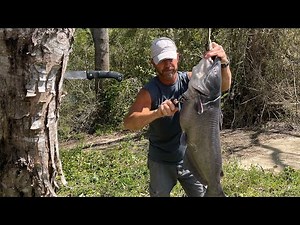 River House: Drying in the A-Frame - Exterior Gable Wall Construction, Windows & Door Installation