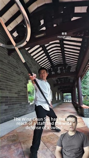The Wing Chun Sai has the long reach of a staff and the wide defense of a sword #kungfu #martialarts