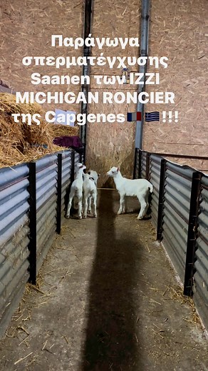 36K views · 357 reactions | Mantis Farm Management on Reels | Facebook