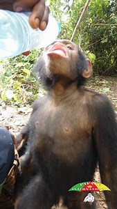 Une bonne hydratation est primordial en brousse 😁 Good hydration is essential in the bush 😁 | Association Papaye International