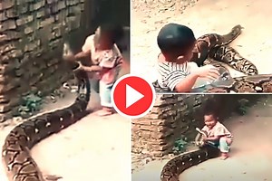 Azgar Ka Video: विशालकाय अजगर के सामने आ गया बच्चा, फिर जो हुआ देखकर हैरान हो जाएंगे आप | देखिए वीडियो