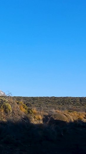 284K views · 1.3K reactions | Sound up to hear the mighty meow of the...