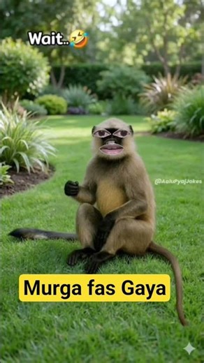 Murga 🐔 fas Gaya #funny #thetharpuns #shilpisaroja #comedy