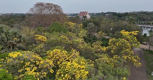 Video by Traveling on  the Go on Pexels