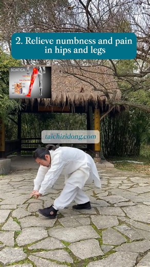 1.Improve urinary incontinence. 2.Relieve numbness and pain in hips and legs. 3.Relieve lower back pain. 36-72 steps a day. Related courses recommended: ----56mins Daily Routine • Full Body Practice ----16mins Specific Routine • Improve Prostate Health #wudang #taichi #qigong #ancientselfcare #health #chineseculture #tcm #heathylifestyle #exercise #stretching #relax #meridian #foryou #urinary #hips #legs #numbness #lowerbackpain | Taichi zidong
