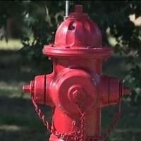 Clearing, Painting Fire Hydrants in Washoe County